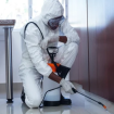 pest control