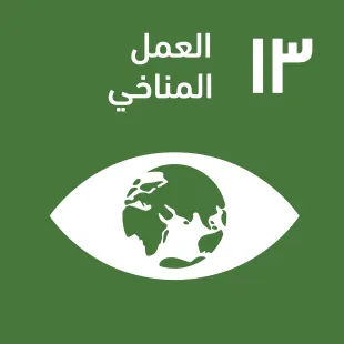 A_SDG-goals_icons-individual-rgb-13.