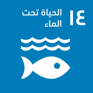 A_SDG-goals_icons-individual-rgb-14